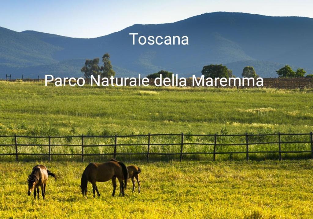 Appartamento La Libellula Grosseto Exterior photo